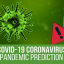 COVID-19 Coronavirus v1.2.1 – Viral Pandemic Prediction Tools WordPress Plugin
