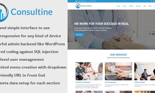 Download Consultine v1.3 – Consulting, Business and Finance Website CMS