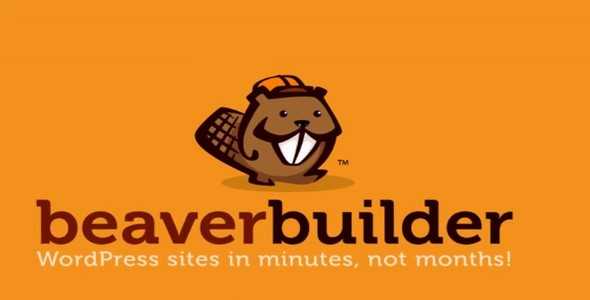 Beaver Builder Pro v2.3.1.1