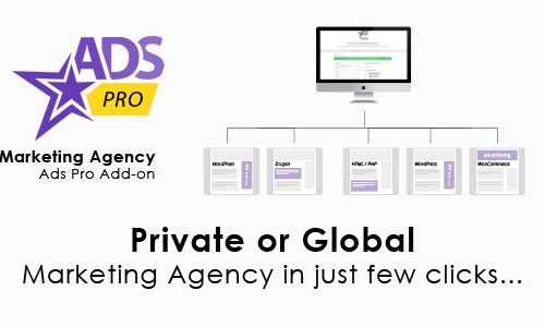 Download Ads Pro Add-on v1.9.2 – WordPress Marketing Agency