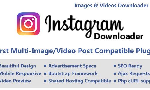 Download Instagram Video/Image Downloader with Ajax (Multi Content)