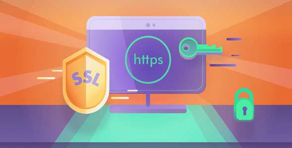 Really Simple SSL Pro v2.1.11