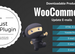 WooCommerce Downloadable Product Update E-mails v2.0.0