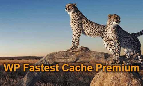 Download WP Fastest Cache Premium v1.5.7