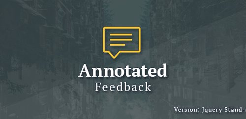 Download Annotated Feedback