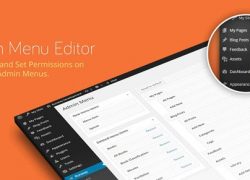Admin Menu Editor Pro v2.10.1