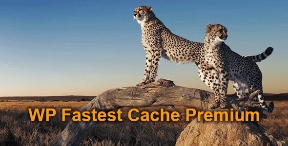 WP Fastest Cache Premium v1.5.6