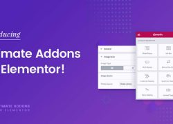 Ultimate Addons for Elementor v1.20.0