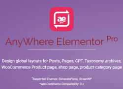 AnyWhere Elementor Pro v2.13.2 – Global Post Layouts