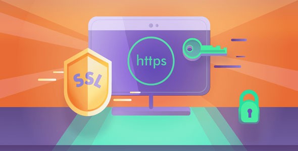 Really Simple SSL Pro v2.1.7