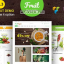 Food Fruit v5.3 – Organic Farm, Natural RTL Responsive WooCommerce WordPress Theme