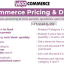 WooCommerce Pricing & Discounts! v13.1