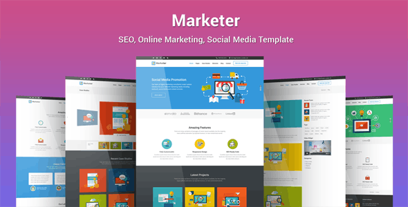 Marketer v1.2.6 – SEO, Online Marketing, Social Media WordPress Theme