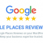 Google Places Reviews Pro v2.4.2 – WordPress Plugin