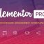Elementor Pro v3.5.0 – The Most Advanced Website Builder Plugin
