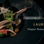 Laurent v2.6.1 – Elegant Restaurant Theme