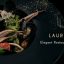 Laurent v2.8 – Elegant Restaurant Theme