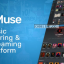 DigiMuse v1.11 – Music Streaming Platform