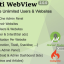 Multi WebView + Admin Panel v2.0