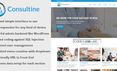 Consultine v1.6 – Consulting, Business and Finance Website CMS