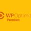 WP-Optimize Premium v3.2.9
