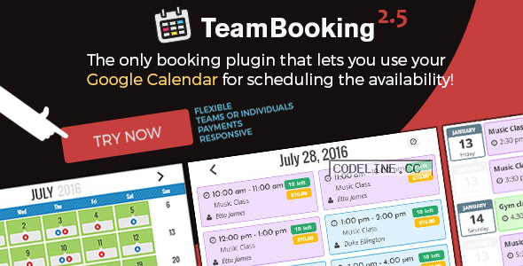 Team Booking v2.5.8 – WordPress booking system