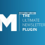 Mailster v2.4.18 – Email Newsletter Plugin for WordPress