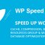 WP Speed of Light v3.3.1 – Speed Up WordPress Pro