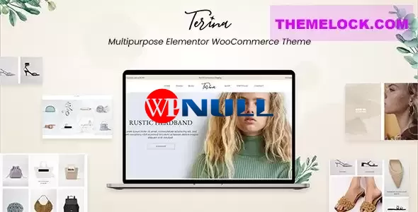 Terina v1.3.1 – Multipurpose Elementor WooCommerce Theme