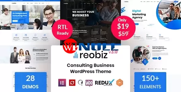 Reobiz v4.8.1 – Consulting Business WordPress Theme