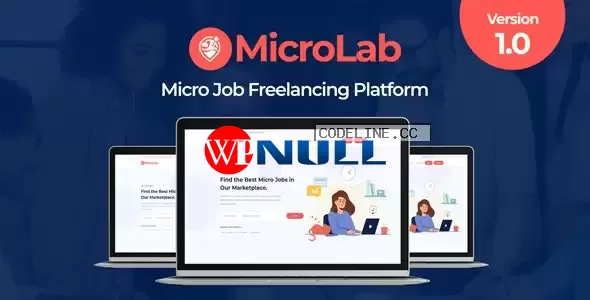 MicroLab v1.0 – Micro Job Freelancing Platform