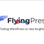 FlyingPress v2.13.1 – Taking WordPress To New Heights