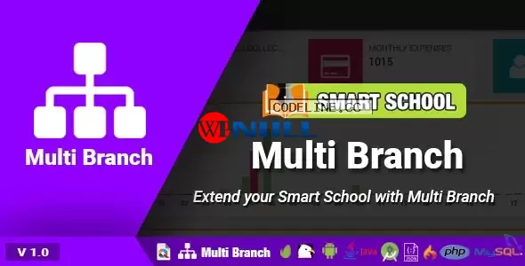 Smart School Multi Branch v1.0
