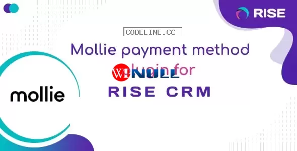 Mollie payment method for RISE CRM v1.0