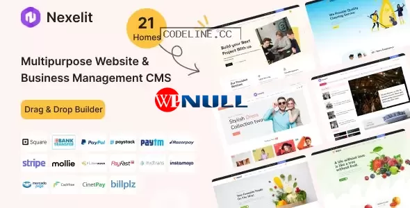 Nexelit v3.4.1 – Multipurpose Website CMS & Business CMS